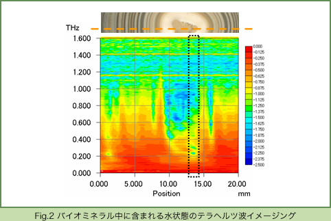 Fig.2 バイオミネラル中に含まれる水状態のテラヘルツ波イメージング