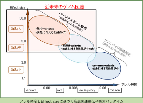 アレル頻度とEffect sizeに基づく疾患関連遺伝子探索パラダイム