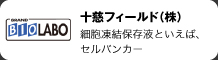 十慈フィールド
